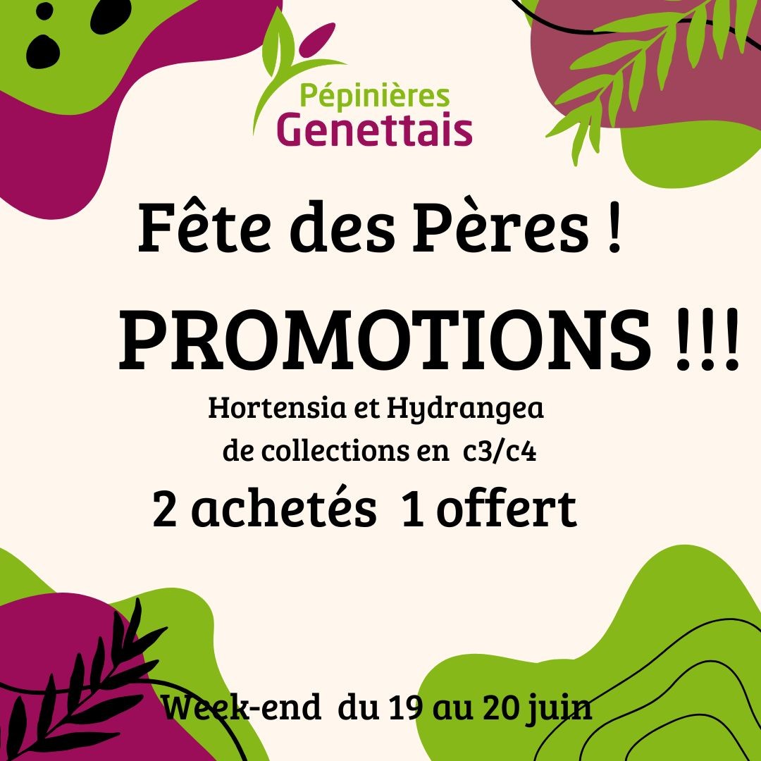 Information du moment